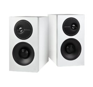 Definitive Technology Demand D11